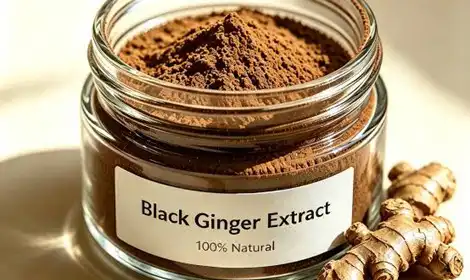 What Is Black Ginger Extract Powder and How Does It Work in the Body?